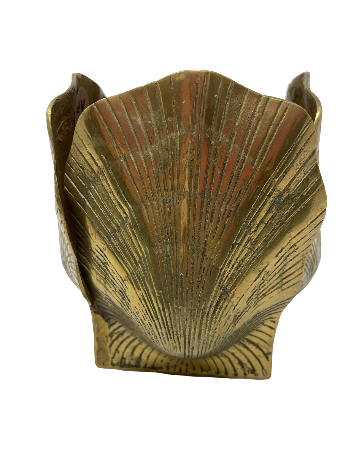 Brass Shell Planter
