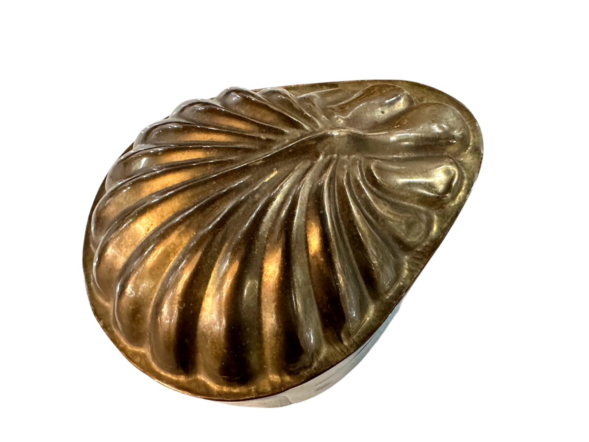 Brass Shell Hinged Box