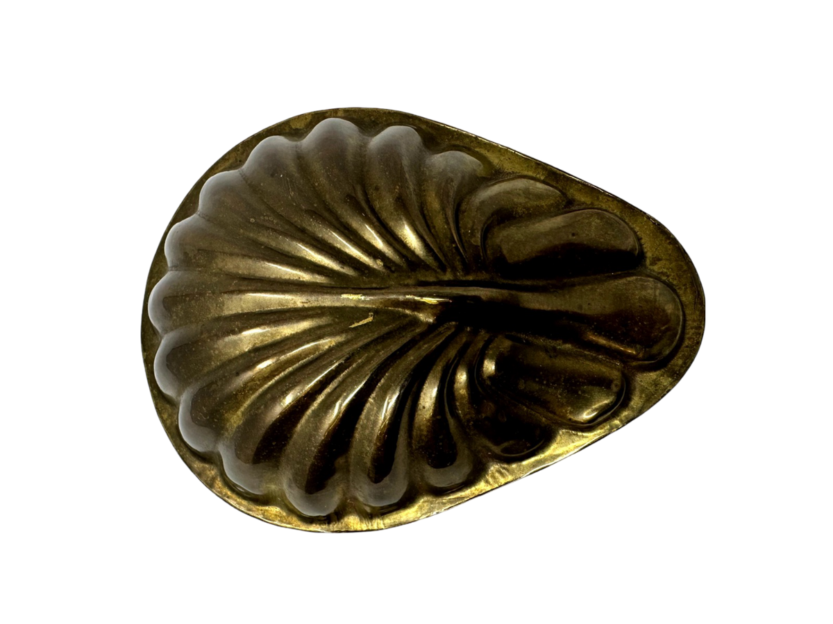 Brass Shell Hinged Box