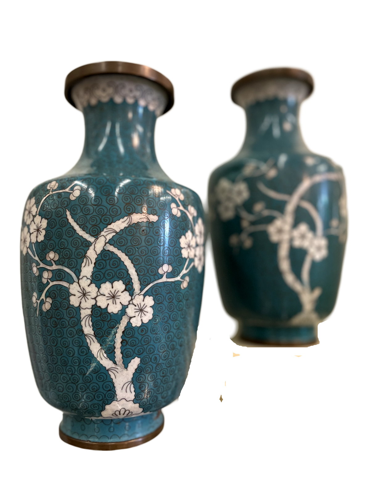 Pair of Turquoise & white Dogwood 10" Cloisonne Vases