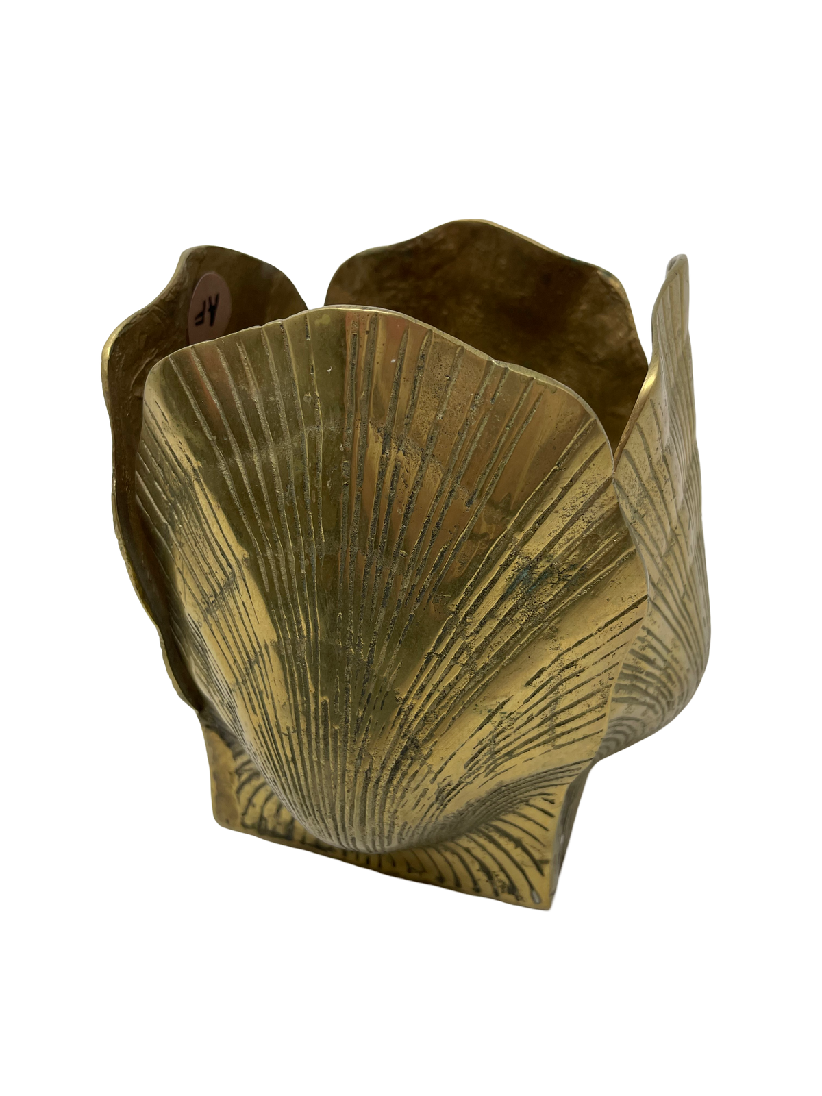 Brass Shell Planter
