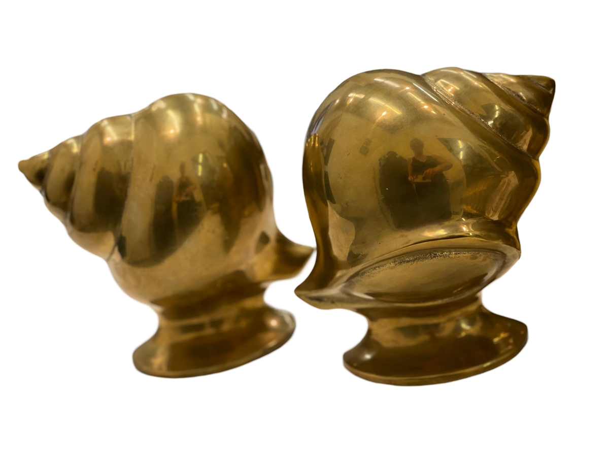 Pair of Vintage Shell Bookends