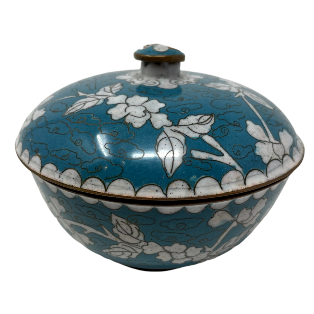 Aqua & White Cloisonne Box