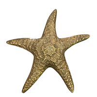 Brass Starfish