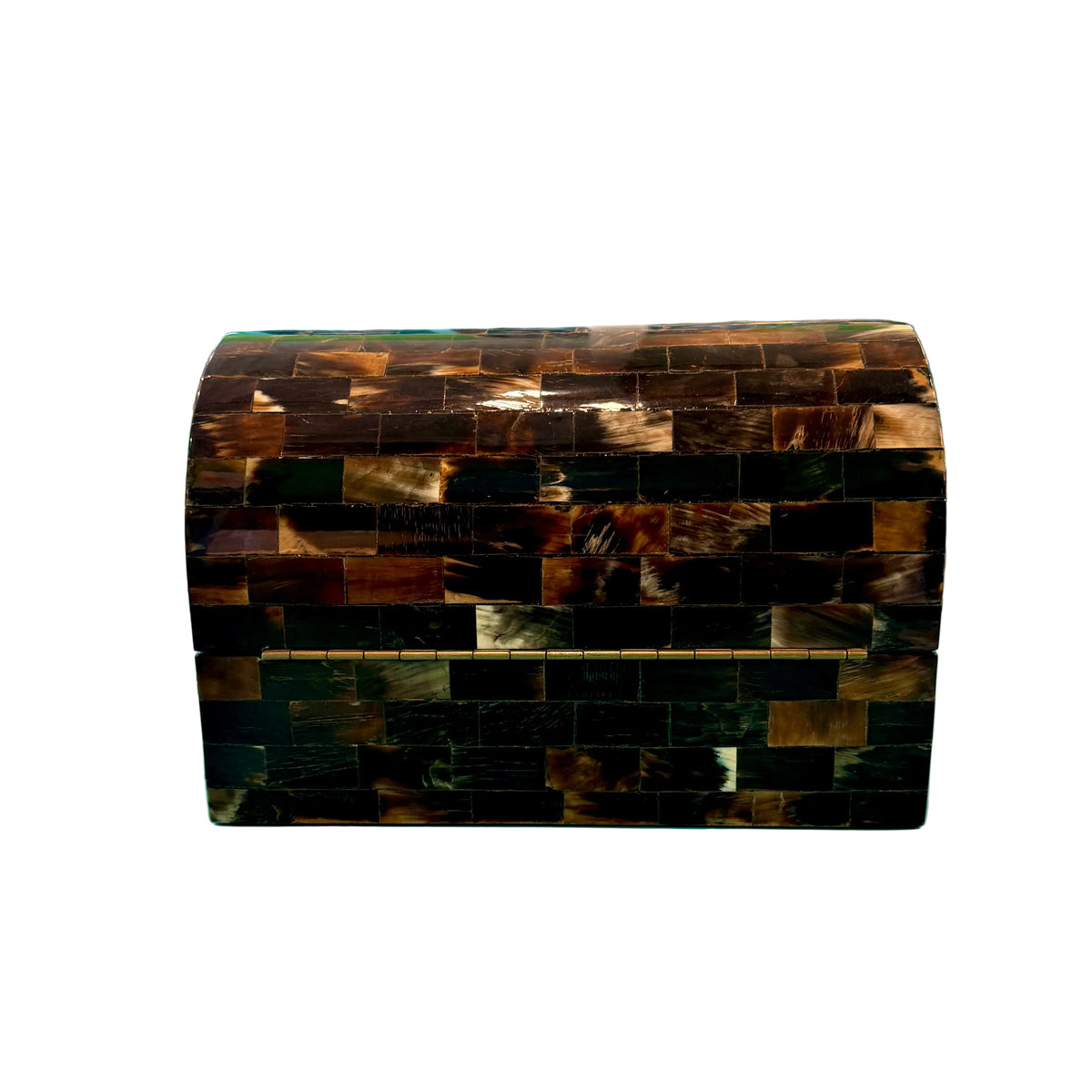 Horn Hinged Box