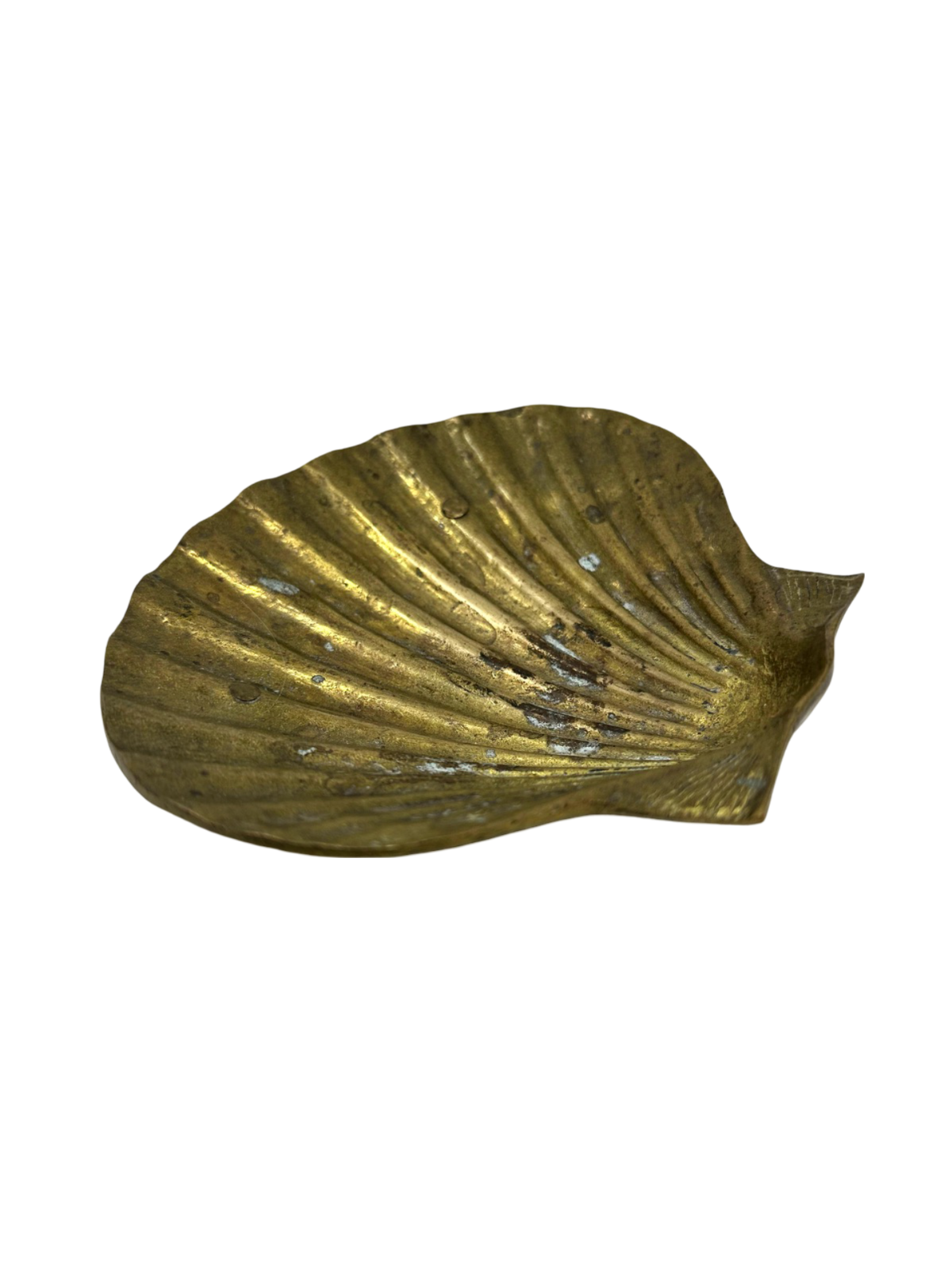 Brass Clam