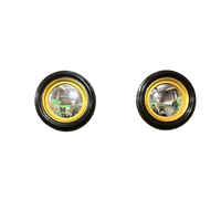 Pair of Vintage Black and gold Fisheye Mirrors