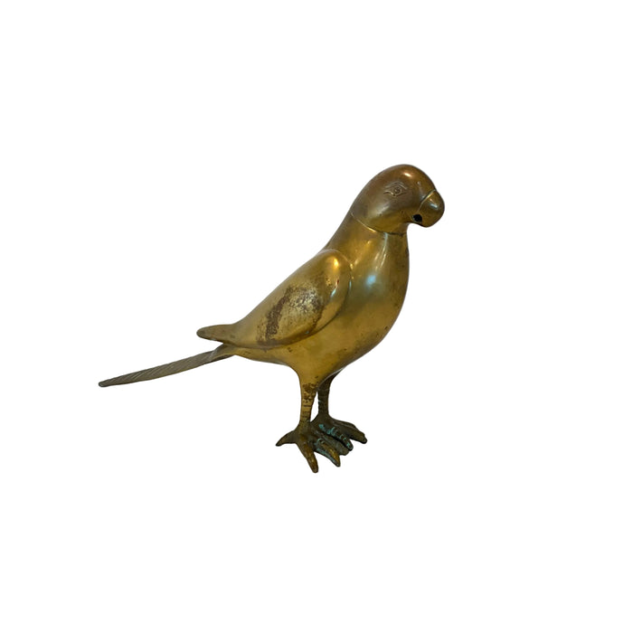 Brass Parrot