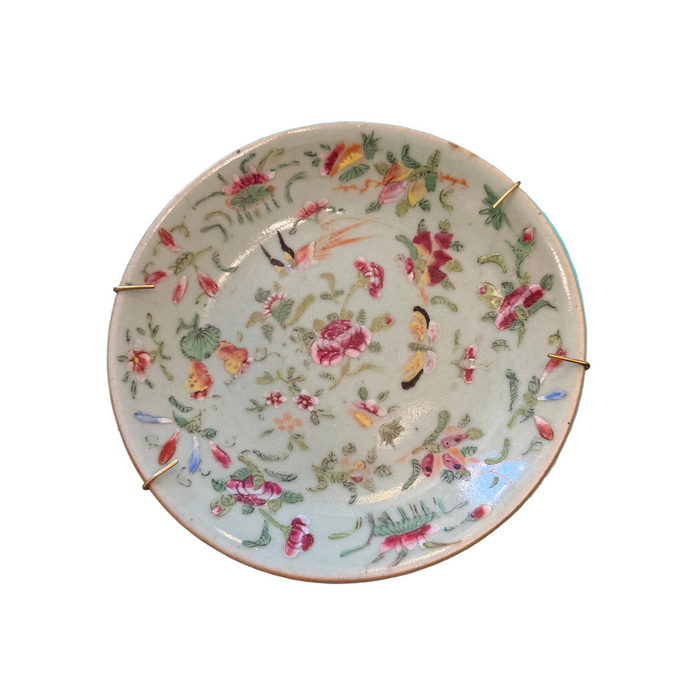 Celadon 6" dish