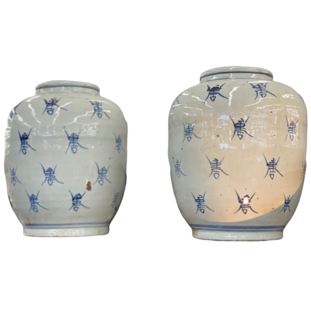 Pair of Chinese Blue & White Longevity "Bee" Pickling Jars