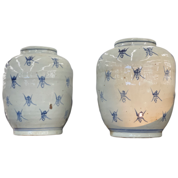 Pair of Chinese Blue & White Longevity "Bee" Pickling Jars