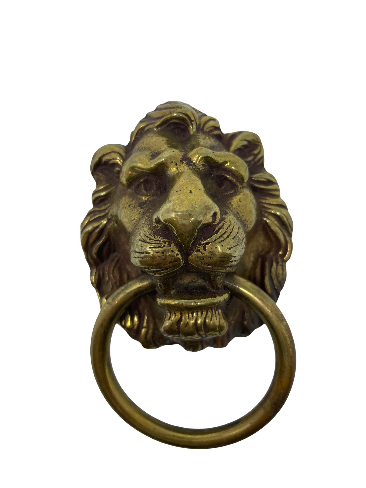 Lion Door Knocker