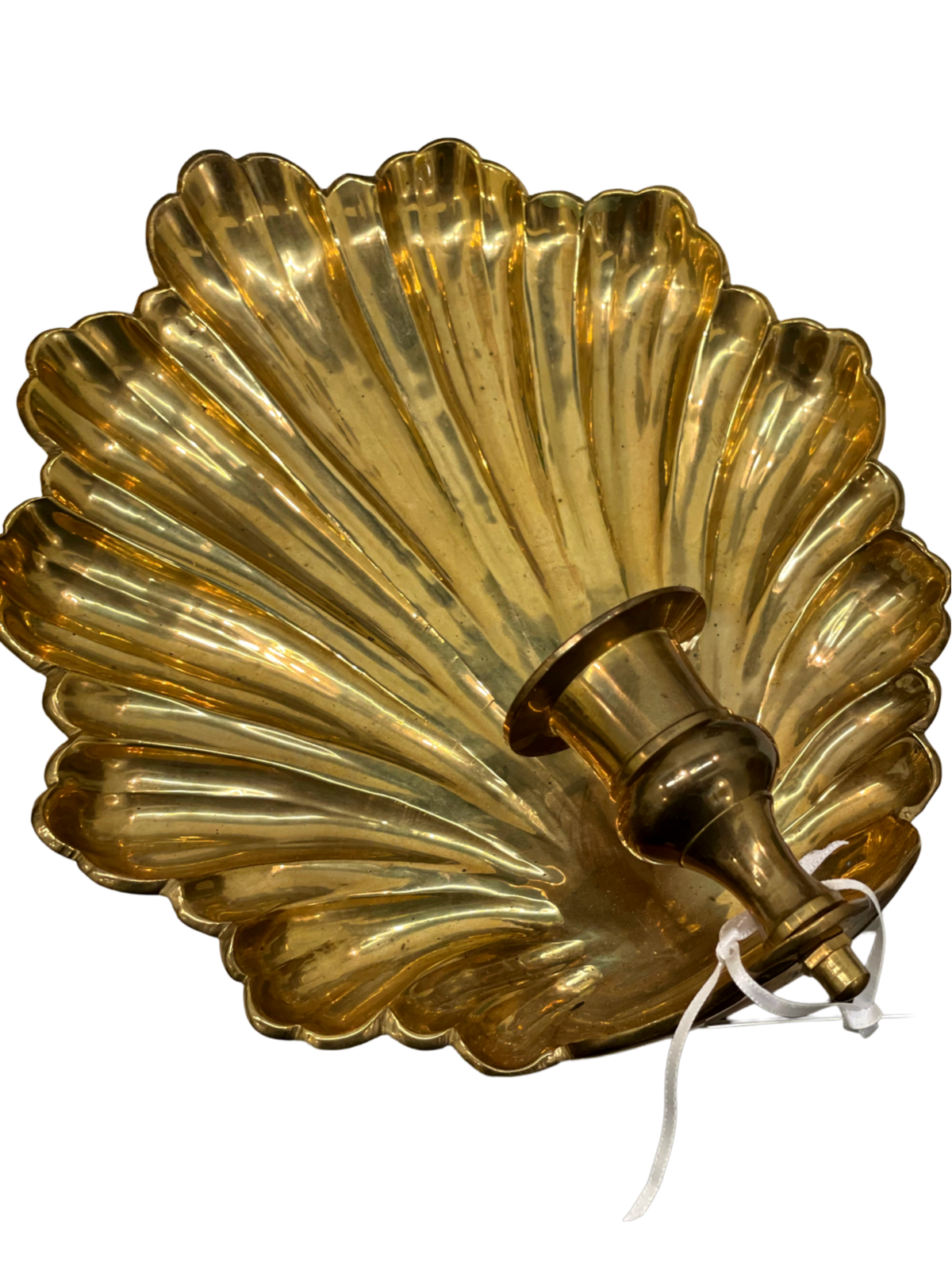 Brass Shell Wall Sconce